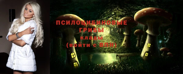 apvp Алзамай