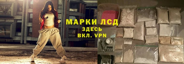 стафф Аркадак